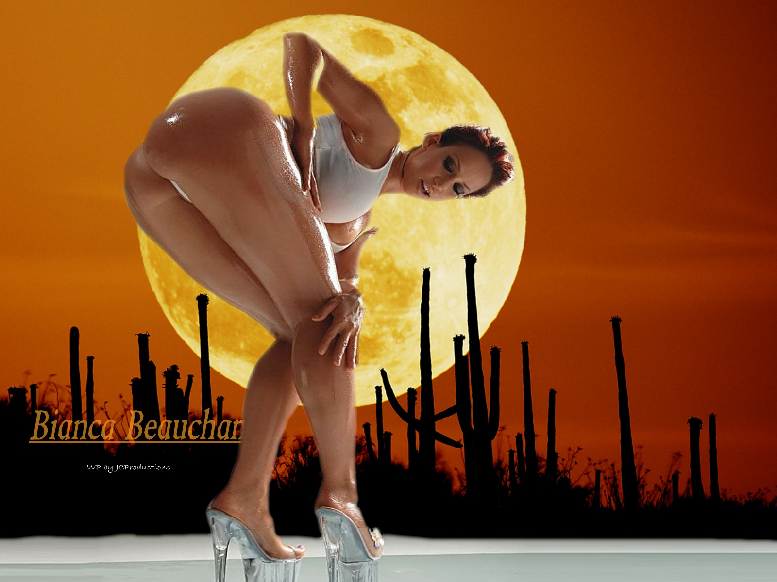 Download HQ moon Bianca Beauchamp wallpaper / 1600x1200