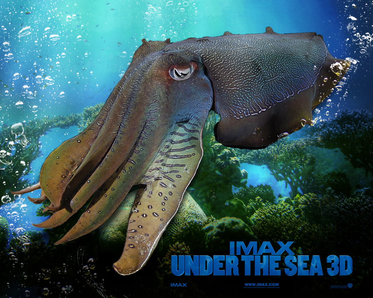 Under the Sea 3D movies