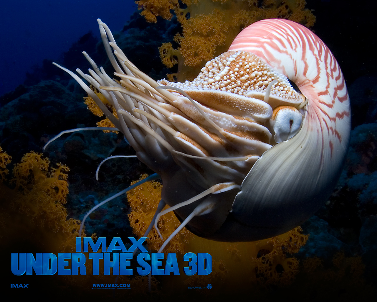 Under the Sea 3D movies